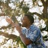 HERMITAGE SUNSETS @ SELBY GARDENS to Return for Seventh Season