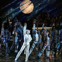 CATS Returns to Sands Theatre This October; Waitlist Now Open