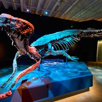 CROC! LOST GIANTS TO LIVING LEGENDS Makes World Premiere