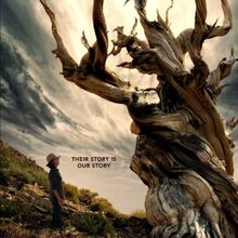 TREES AND OTHER ENTANGLEMENTS Documentary Coming to Max