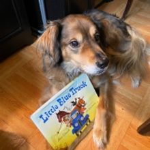 Bravo The Theatre Dog Does Digital With Virtual Story Times