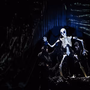 ArtsEmerson Will Present DEAD AS A DODO in February 2026