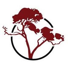 A CHORUS LINE to be Presented at The Norwalk Conservatory Of The Arts