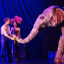 Review: WATER FOR ELEPHANTS at Shea’s Buffalo Theatre