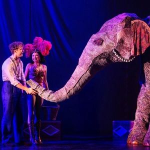 Review: WATER FOR ELEPHANTS at Shea’s Buffalo Theatre