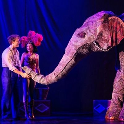 Review: WATER FOR ELEPHANTS at Shea’s Buffalo Theatre