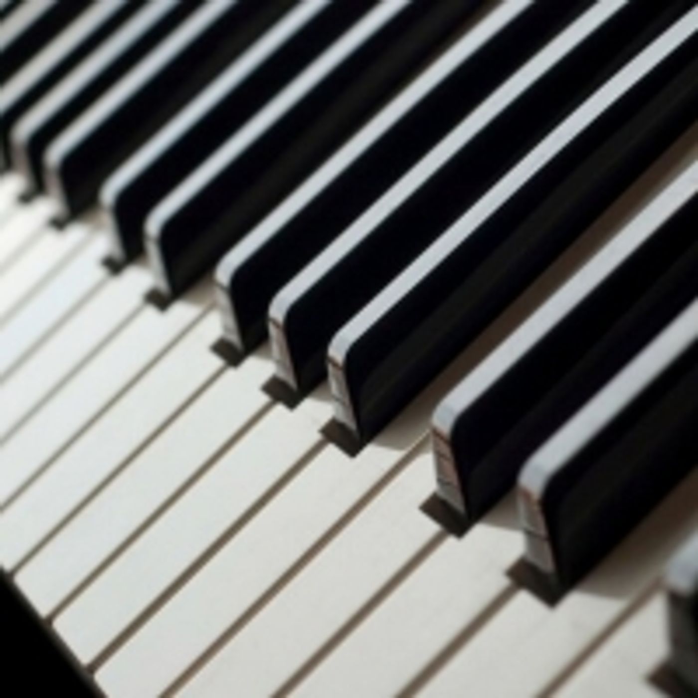 Student Blog: Ode to 'Steve'