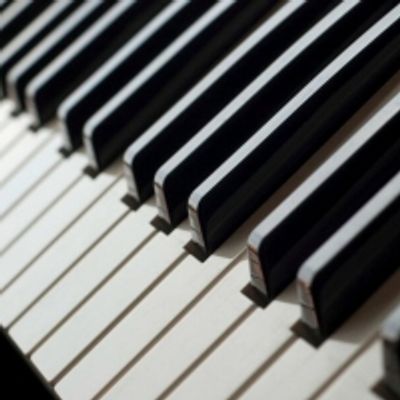 Student Blog: Ode to 'Steve'