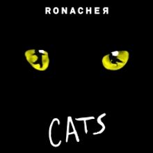 BWW Review: CATS Returns To Ronacher