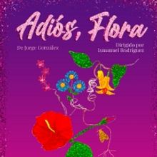 Boundless Theatre Company To Present ADIOS, FLORA By Jorge González.