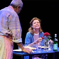 Review: MARY PAGE MARLOWE, Starring Susan Sarandon and Andrea Riseborough Photo