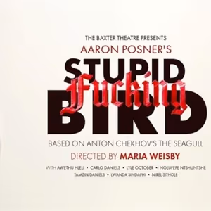 Review: STUPID f**kING BIRD at Baxter Studio