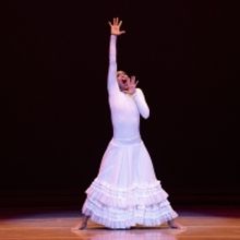BWW Review: ALVIN AILEY AMERICAN DANCE THEATER at The Kennedy Center