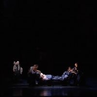 VIDEO: Get A First Look At Royal Opera House's THE MAGIC FLUTE Video