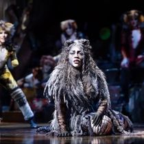 Review: CATS at Her Majesty’s Theatre, Adelaide Festival Centre