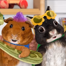 Exclusive: How Music Comes to Life in Apple’s Musical Series WONDER PETS: IN THE CI