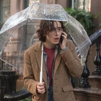 BWW Review: A RAINY DAY IN NEW YORK, Home Premiere