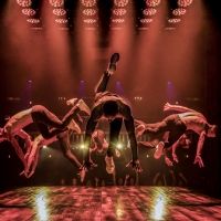 MAGIC MIKE LIVE is Back at SAHARA Las Vegas