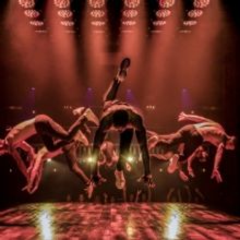 MAGIC MIKE LIVE is Back at SAHARA Las Vegas