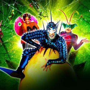 Cirque du Soleil's OVO is Coming to DCU Center in January 2025