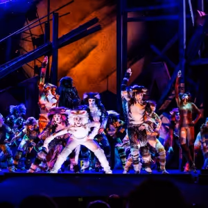 Review: CATS at Music Theatre Wichita