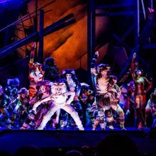 Review: CATS at Music Theatre Wichita