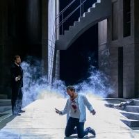 BWW Review: Paris Opera Gives Us a Look at the Met's New DON GIOVANNI from the Palais Photo