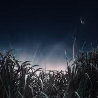 Tim Ruddy and Gina Costigan Lead THE LONG WET GRASS Audio Adaptation