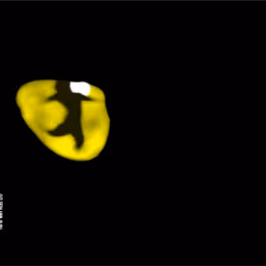 Review: CATS Returns to Sydney’s Theatre Royal After 40 Years
