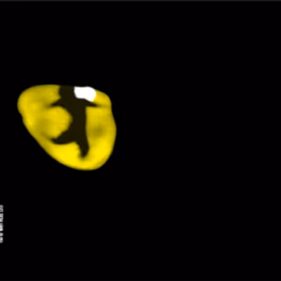 Review: CATS Returns to Sydney’s Theatre Royal After 40 Years