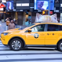 PHOTO: CATS Film Takes To The New York Streets With Cat Ear Taxi Toppers