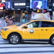 PHOTO: CATS Film Takes To The New York Streets With Cat Ear Taxi Toppers