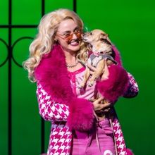 Interview: Kathryn Brunner of LEGALLY BLONDE at Ordway Center For The Performing Arts