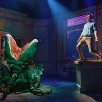 LITTLE SHOP OF HORRORS Announces 40th Anniversary Celebrations