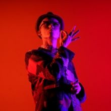 BWW Feature: ONLINE VIRTUAL OPERA TOUR at Home Computer Screens