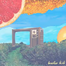 Brother Bird Shares Live Video for 'Pariah' Featuring Manchester Orchestra