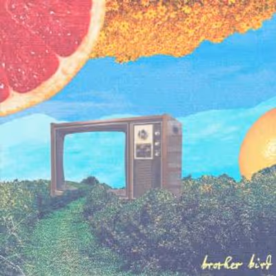 Brother Bird Shares Live Video for 'Pariah' Featuring Manchester Orchestra