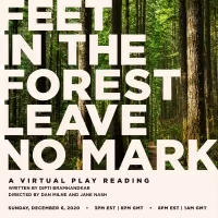Live Virtual Reading of FEET IN THE FOREST LEAVE NO MARK to be Presented in December