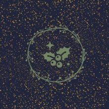 Student Blog: What to Do Over Holiday Break