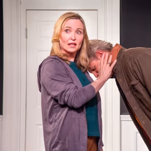 Review: HILLARY AND CLINTON at Dezart Performs