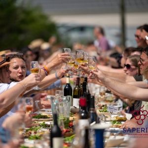 3rd Annual SAPERAVI FESTIVAL in the Finger Lakes
