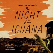 Tim Daly, Daphne Rubin-Vega, Lea DeLaria & More to Star in THE NIGHT OF THE IGUANA at