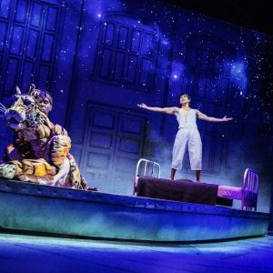 Review: LIFE OF PI Is Existentialist Magic at Benedum Center