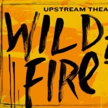 BWW Review: WILDFIRE Burns With Raw Emotion