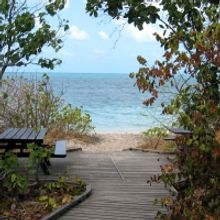 SNACKING – For Packing and Powering Up