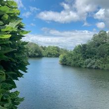 READY TO DRINK Cocktails for Labor Day Sips
