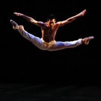 VIDEO: Dance Against Cancer Celebrates 10 Years by Streaming 'Year 1' Performances