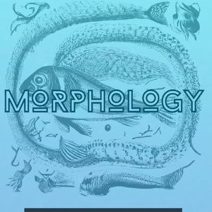 MORPHOLOGY to Make New England Premiere at Boston Playwrights Theatre