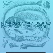 MORPHOLOGY to Make New England Premiere at Boston Playwrights Theatre