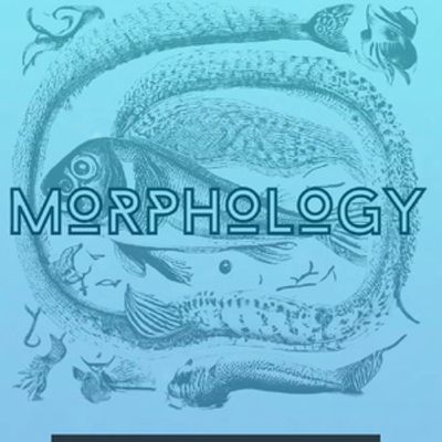 MORPHOLOGY to Make New England Premiere at Boston Playwrights Theatre